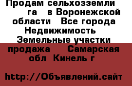 Продам сельхозземли ( 6 000 га ) в Воронежской области - Все города Недвижимость » Земельные участки продажа   . Самарская обл.,Кинель г.